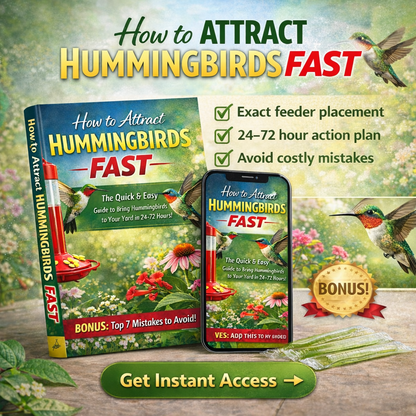 How to Attract Hummingbirds FAST (Even If You’ve Tried Before)
